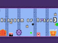 https://arcade-games.site/game/kingdom-of-ninja-3