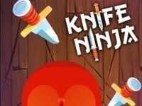 https://arcade-games.site/game/knife-ninja