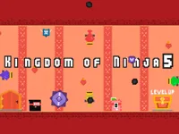 https://arcade-games.site/game/kingdom-of-ninja-5