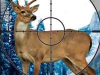 https://arcade-games.site/game/stag-hunter