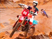 https://arcade-games.site/game/offroad-moto-bike-racing