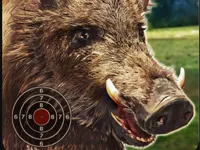https://arcade-games.site/game/boar-hunting-jigsaw