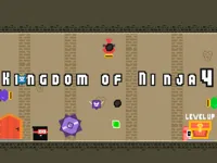 https://arcade-games.site/game/kingdom-of-ninja-4
