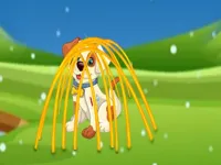 https://arcade-games.site/game/rescue-the-doggy