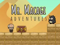 https://arcade-games.site/game/mr-macagi-adventures