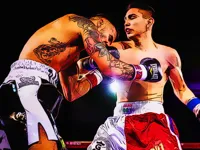 https://arcade-games.site/game/boxing-champions-fight