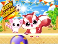 https://arcade-games.site/game/racoon-headball