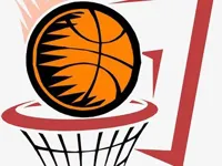 https://arcade-games.site/game/basketball-game-two