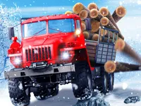 https://arcade-games.site/game/truck-driver-snowy-roads