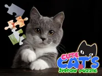 https://arcade-games.site/game/cute-cats-jigsaw-puzzle
