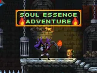 https://arcade-games.site/game/soul-essence-adventure