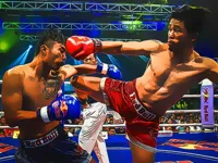 https://arcade-games.site/game/muaythai-fighters-jigsaw