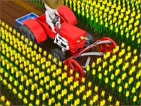 https://arcade-games.site/game/cut-the-grass-cutting-grass