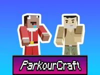 https://arcade-games.site/game/parkour-craft-noob-steve