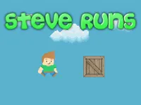 https://arcade-games.site/game/steve-runs