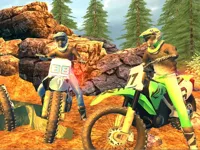 https://arcade-games.site/game/offroad-motorcycle-bike-racing-2020