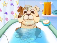 https://arcade-games.site/game/animal-daycare