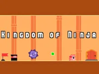 https://arcade-games.site/game/kingdom-of-ninja