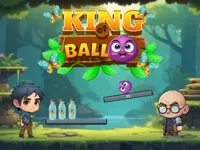 https://arcade-games.site/game/king-of-ball