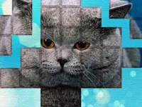 https://arcade-games.site/game/picpu-cat-puzzle
