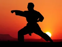 https://arcade-games.site/game/karate-sunset-warriors