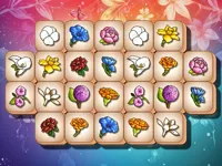 https://arcade-games.site/game/blossom-link