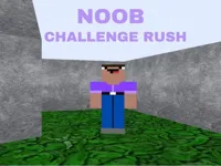 https://arcade-games.site/game/noob-challenge-rush
