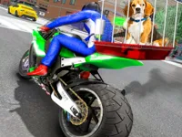 https://arcade-games.site/game/motorcycle-pet-delivery