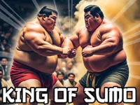 https://arcade-games.site/game/king-of-sumo