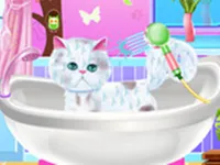 https://arcade-games.site/game/excellent-pet-groomer