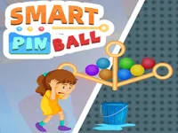 https://arcade-games.site/game/smart-pin-ball