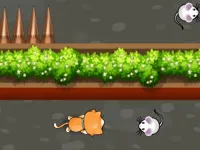 https://arcade-games.site/game/cat-trap-labyrinth-escape