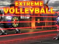 https://arcade-games.site/game/extreme-volleyball