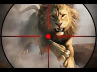 https://arcade-games.site/game/wild-life-hunting