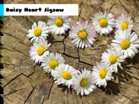 https://arcade-games.site/game/daisy-heart-jigsaw