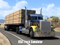 https://arcade-games.site/game/usa-truck-simulator-2024