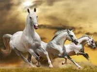 https://arcade-games.site/game/running-horse-slide
