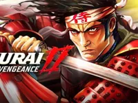 https://arcade-games.site/game/samurai-ii-vengeance