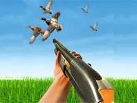 https://arcade-games.site/game/bird-hunting-gun-fire-shooter