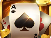 https://arcade-games.site/game/free-cell