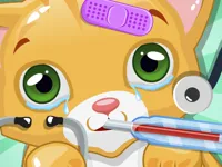 https://arcade-games.site/game/little-cat-doctor