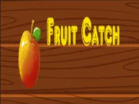 https://arcade-games.site/game/fruit-catch