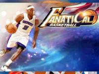 https://arcade-games.site/game/fanatical-basketball