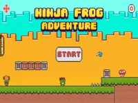 https://arcade-games.site/game/ninja-frog-adventure