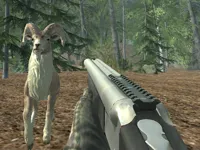 https://arcade-games.site/game/crazy-goat-hunter
