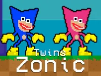 https://arcade-games.site/game/twins-zonic