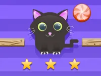 https://arcade-games.site/game/cut-for-cat-challenge