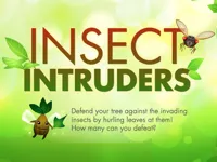 https://arcade-games.site/game/insect-intruders