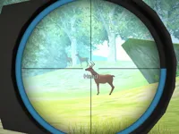 https://arcade-games.site/game/hunter