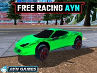 https://arcade-games.site/game/free-racing-ayn